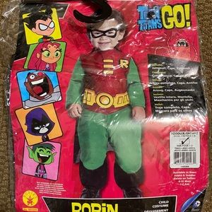 Robin Costume